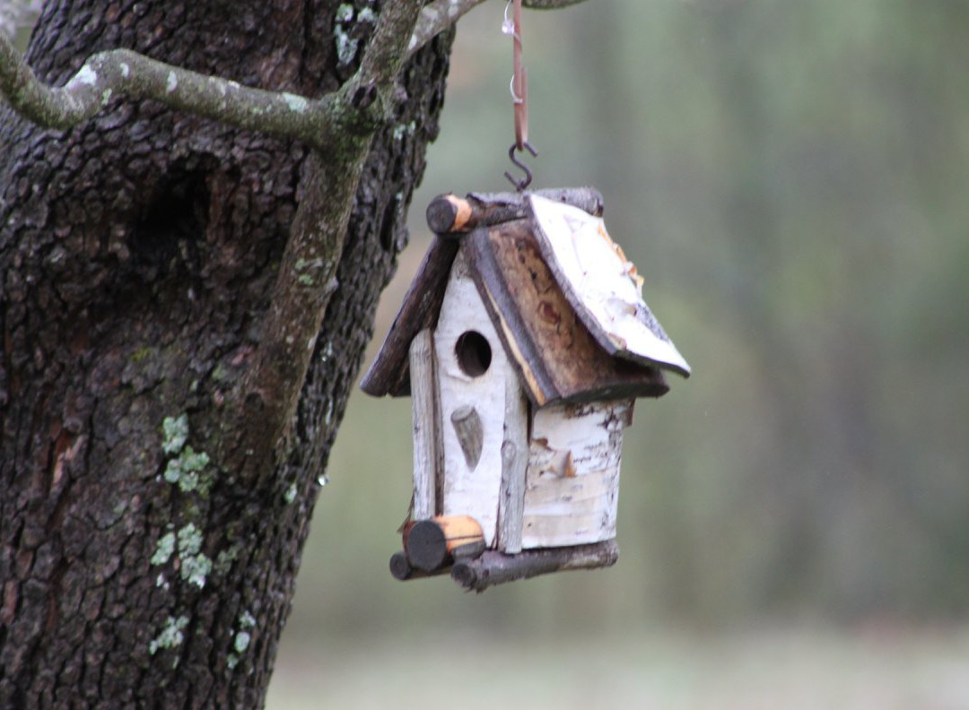 Sisters on Sycamore Bed & Breakfast主图