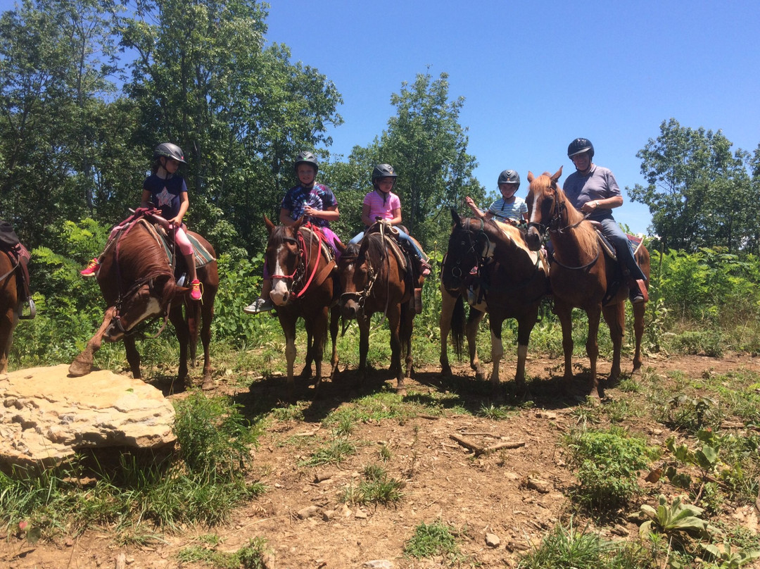 Charleston旅游攻略图片