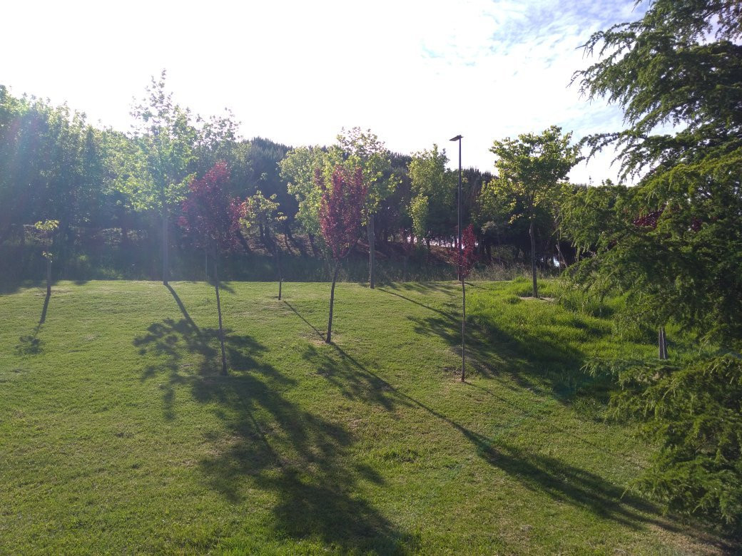 Parque da Paz景点图片