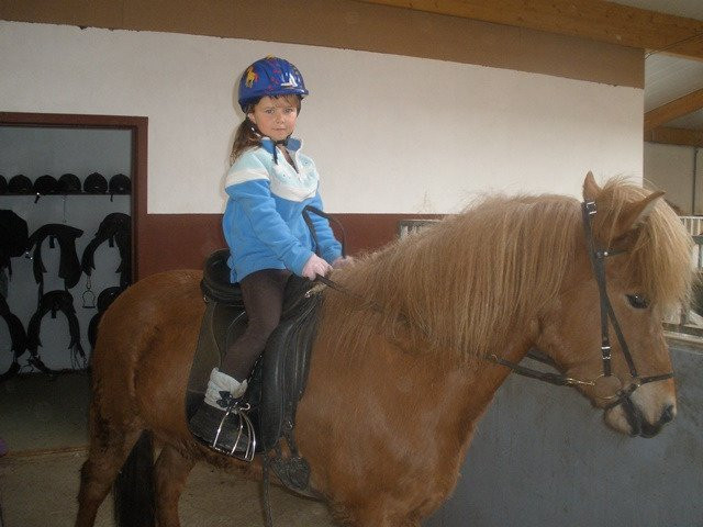 Vorsabær 2-塞尔福斯必去景点