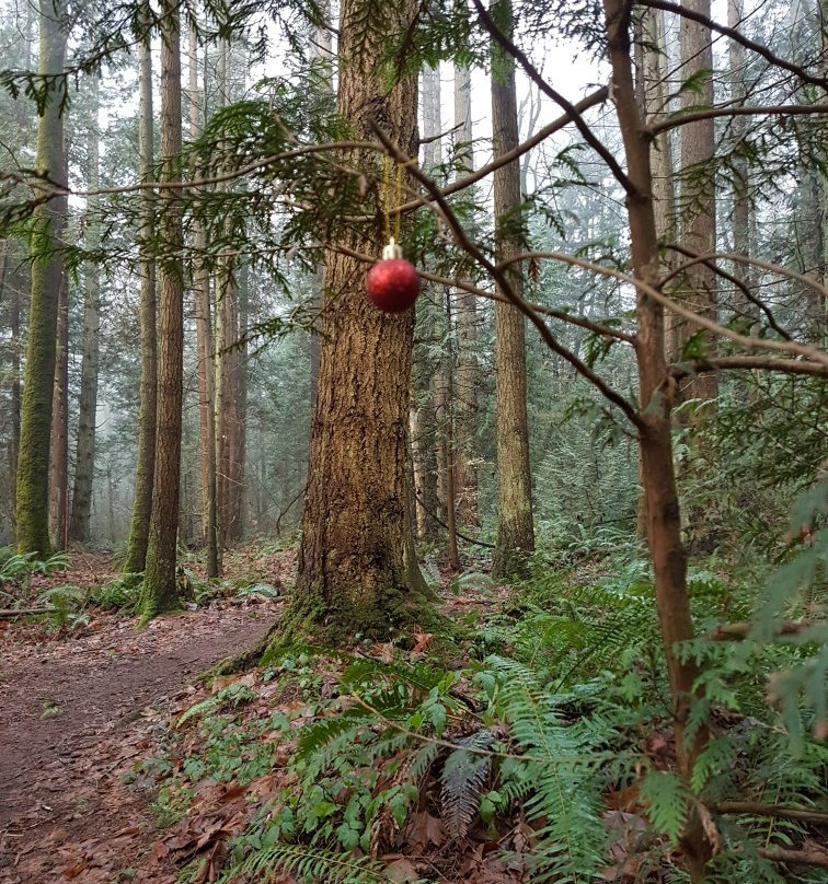 Watershed Park景点图片