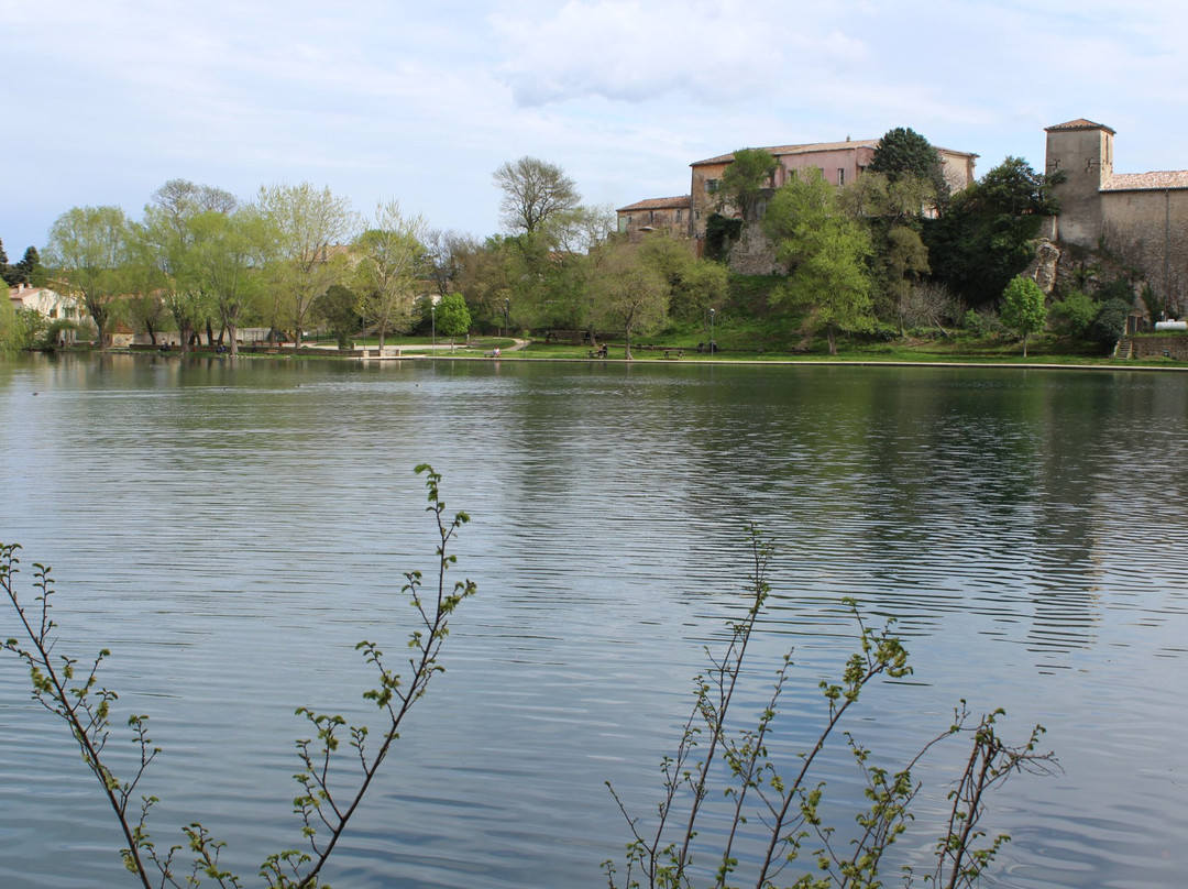 Lac de Besse-sur-Issole景点图片