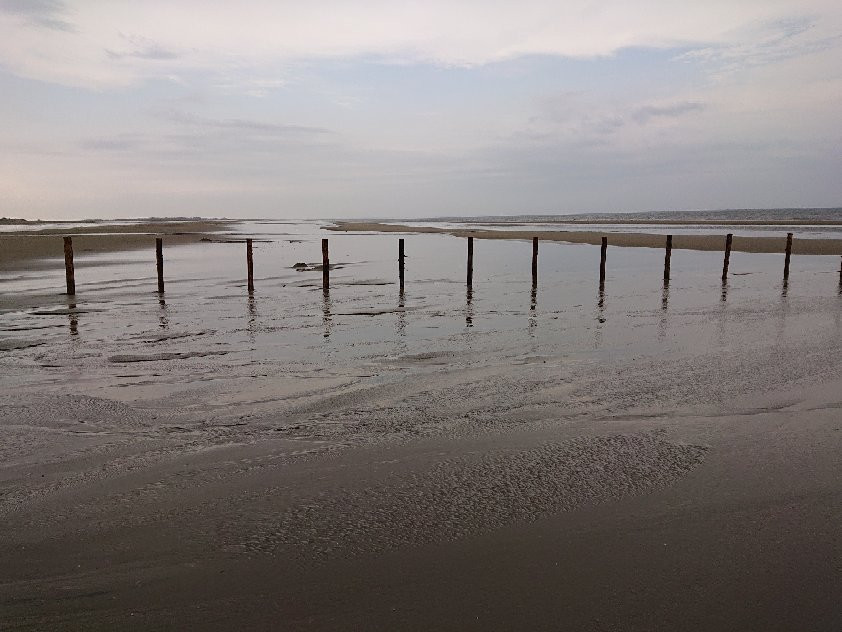 Wadden Sea National Park and World Heritage Site景点图片