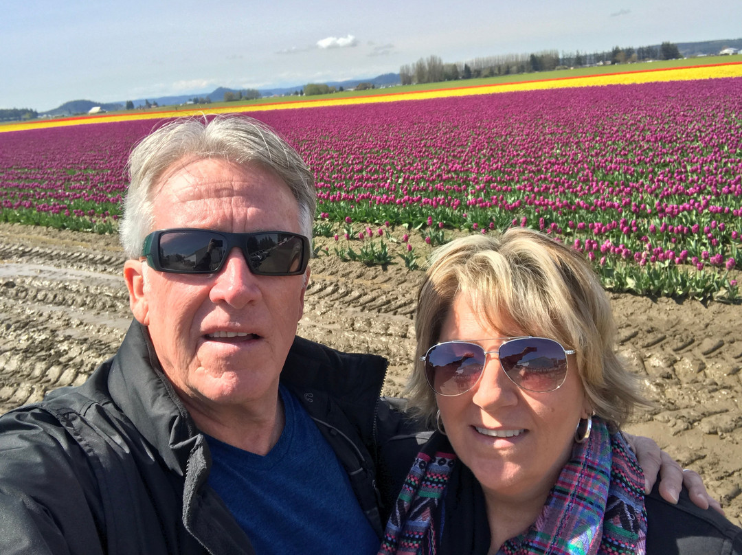 Tulip Town-弗农山必去景点