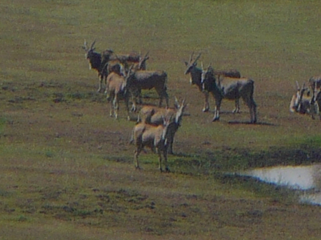 Venterburg旅游攻略图片