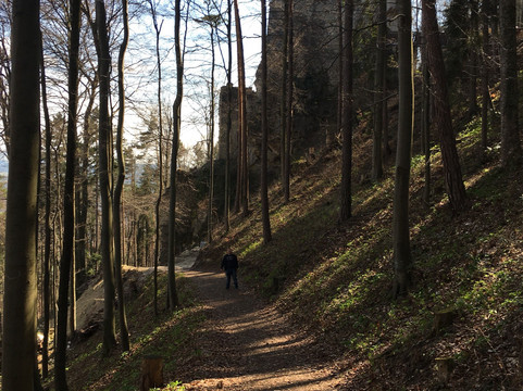 Grimmenstein旅游攻略图片