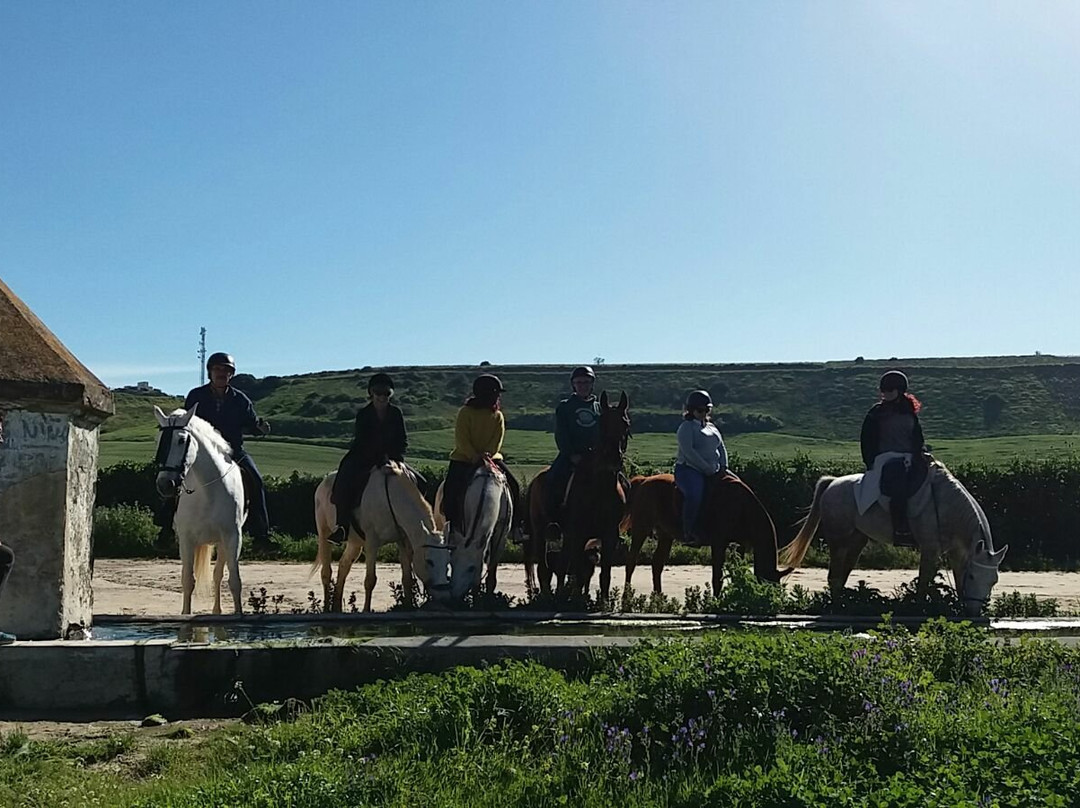 Al-Mesquid Stables-Sanlucar de Barrameda必去景点