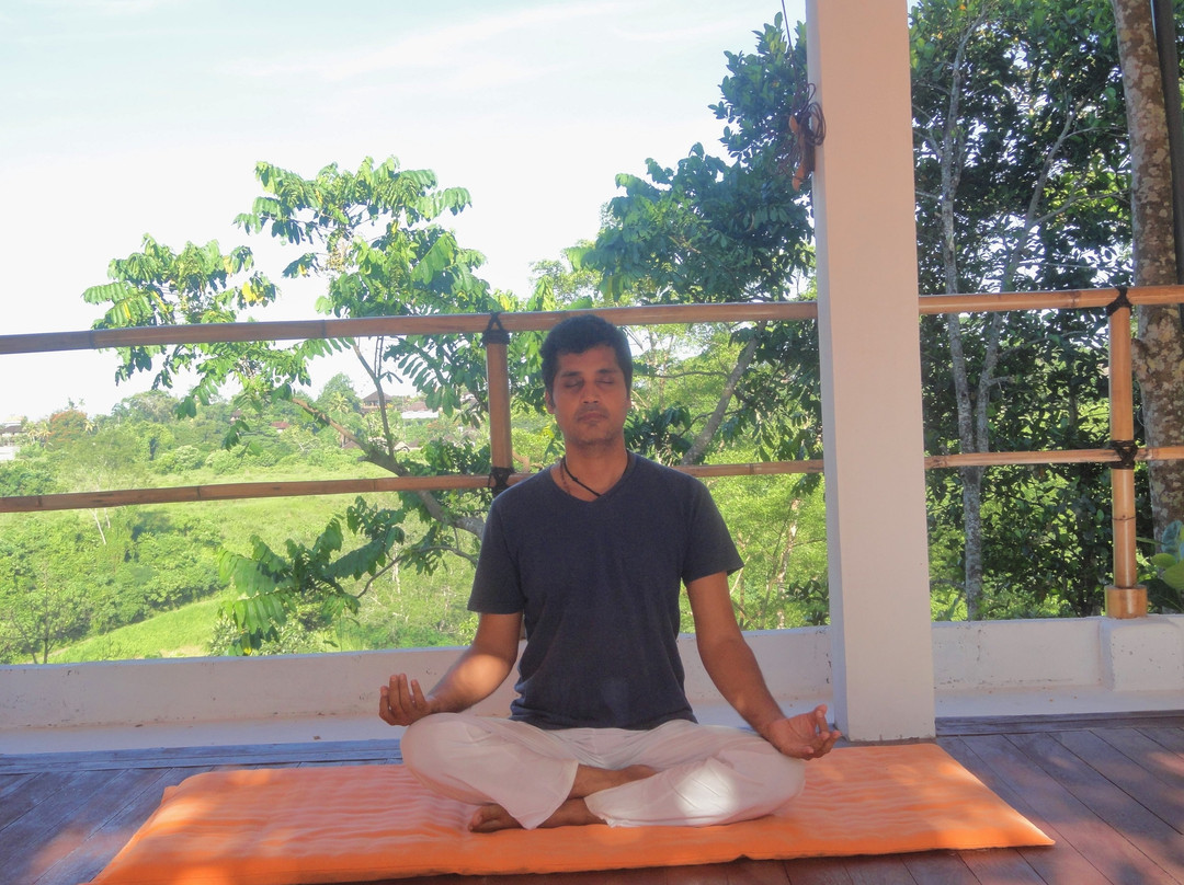 Shriman Healing And Vedic Astrology-乌布必去景点