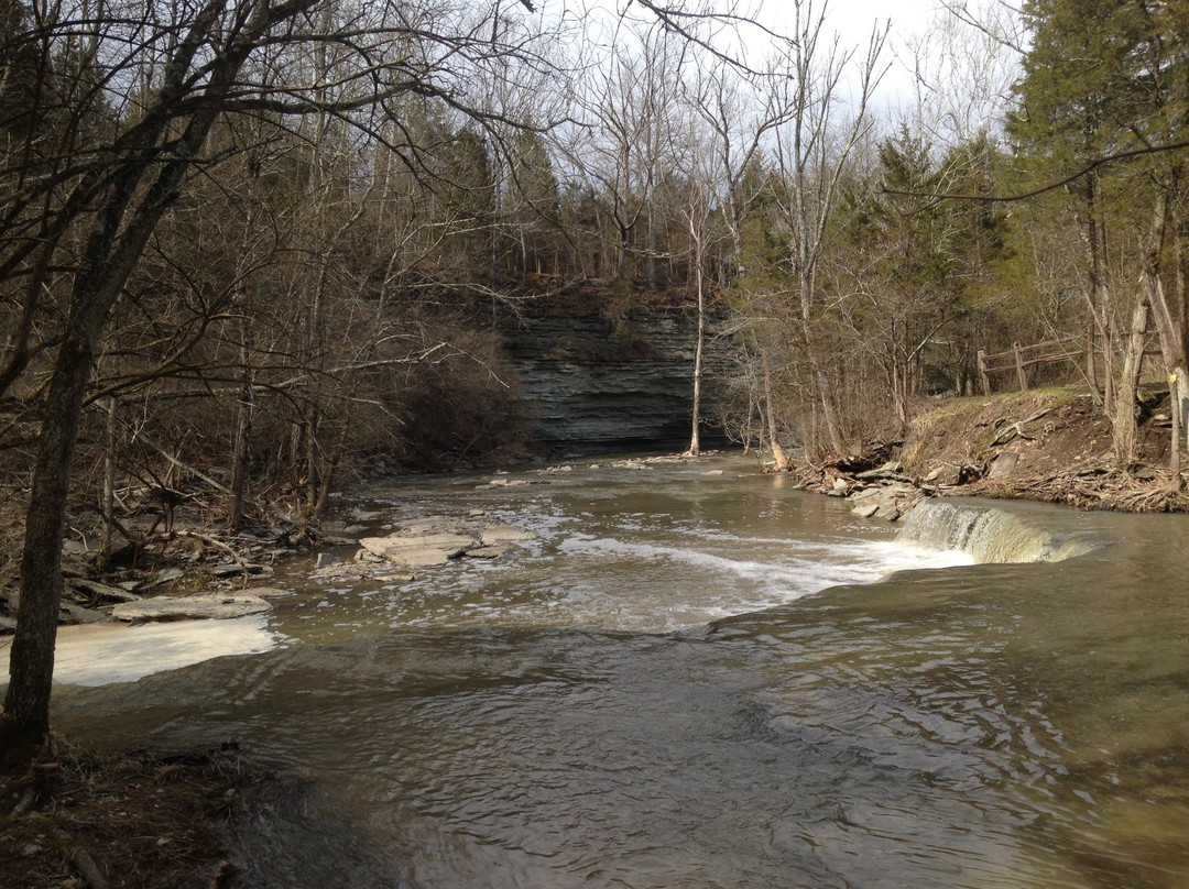 Caesar Creek State Park景点图片