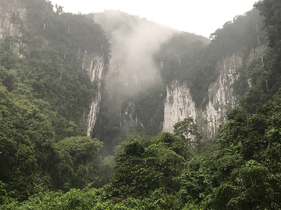 Deer Cave景点图片