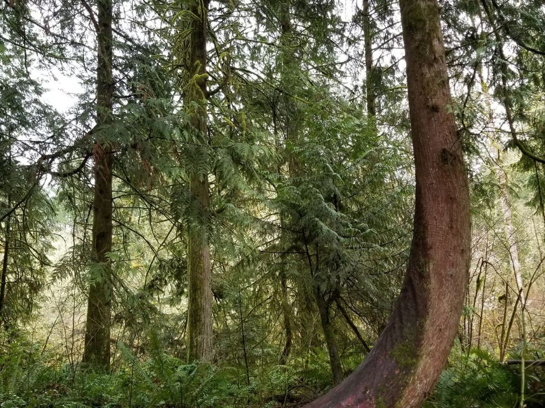 Tualatin Hills Nature Park-比弗顿必去景点