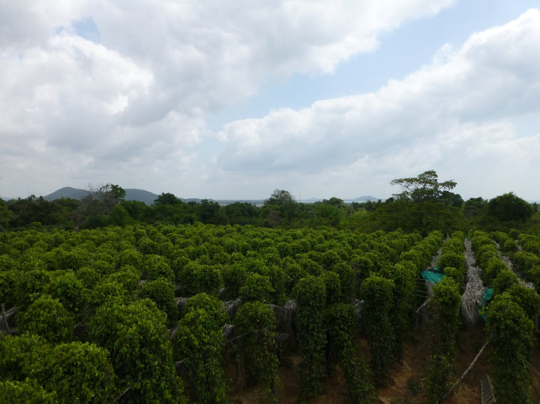Patio-白马必去景点