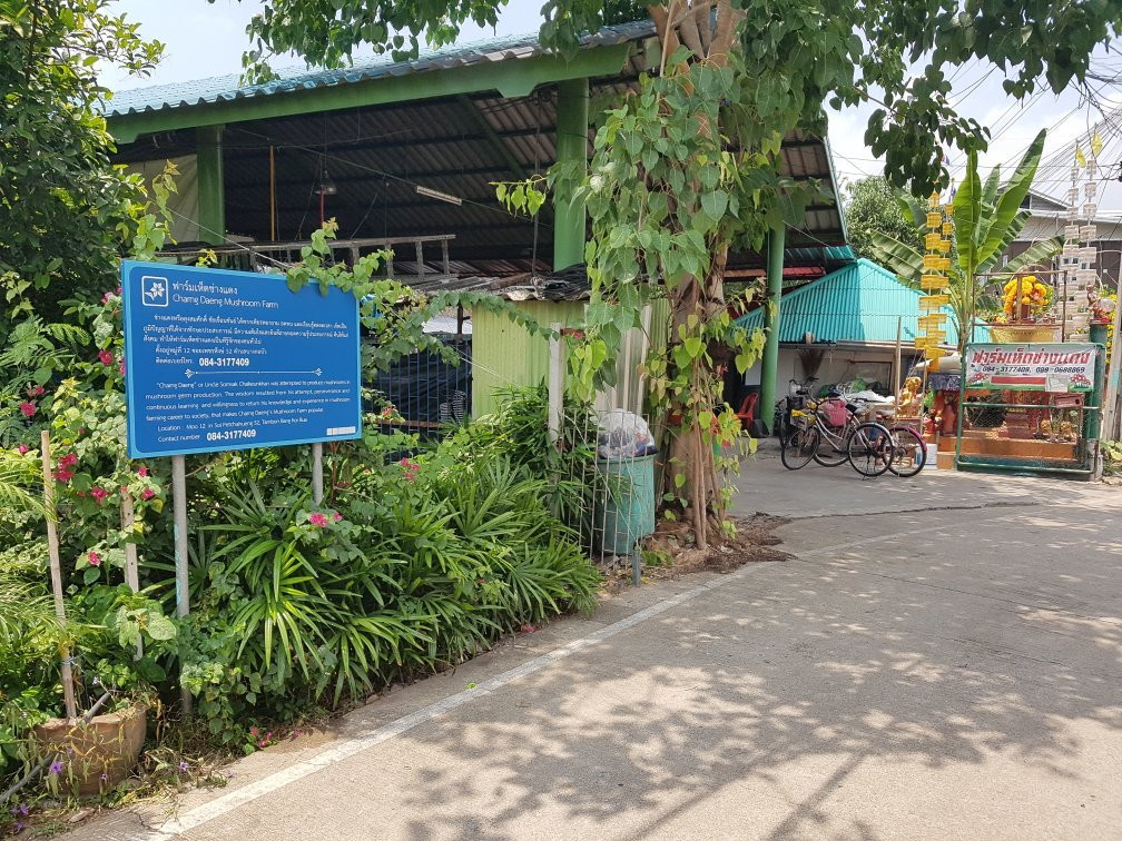 Daeng Mushroom Farm-帕巴登必去景点