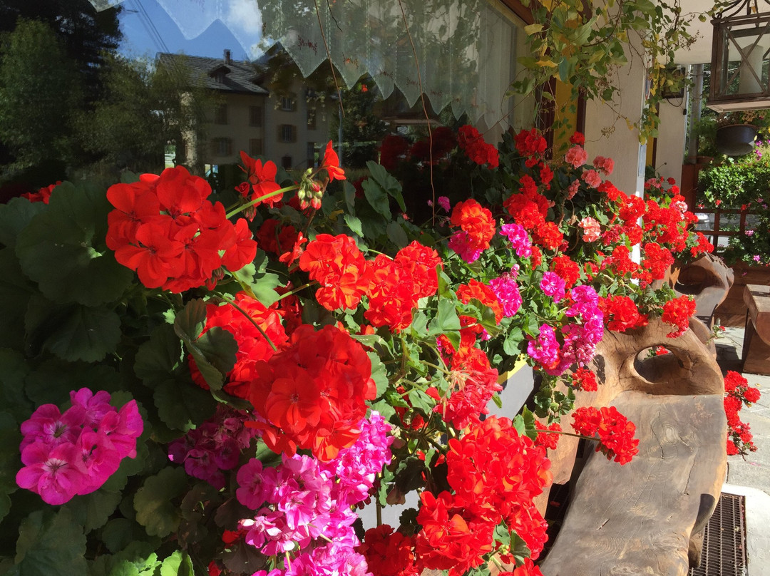 Albergo Alpenrose主图