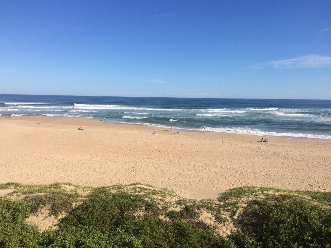 On the Beach Wilderness主图