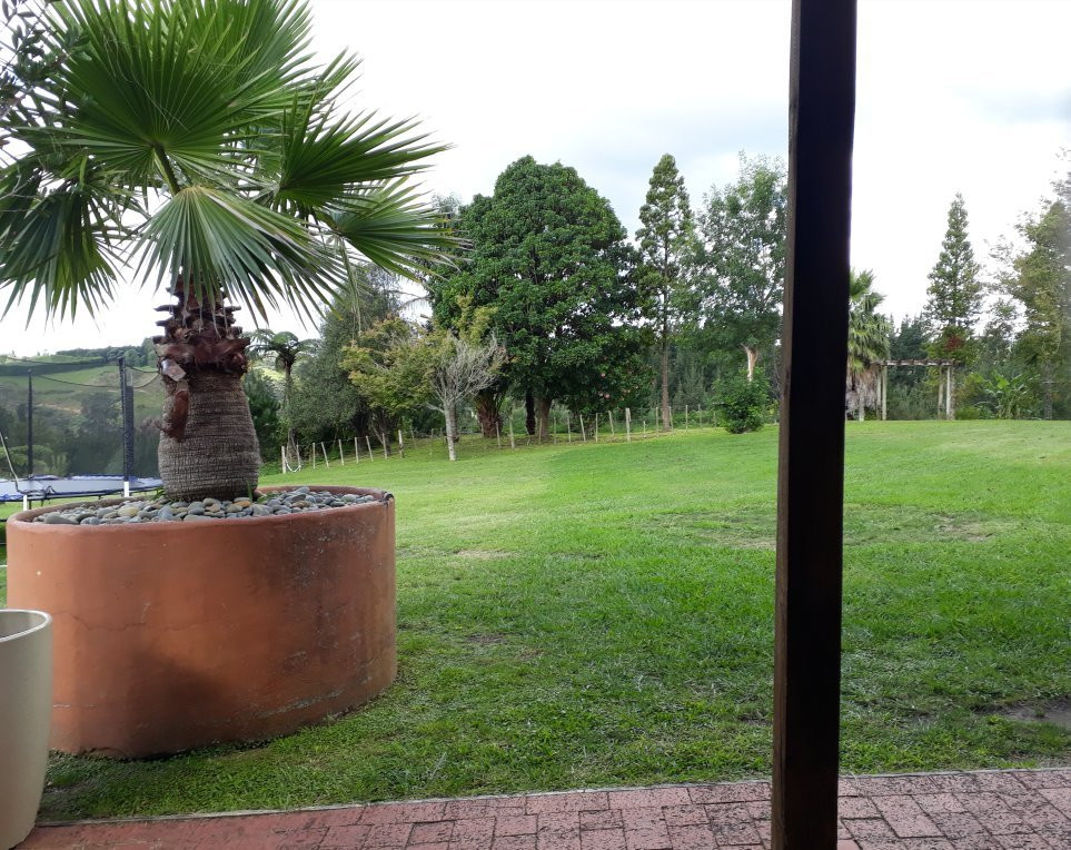 Smallgusta & Hot Pools-陶兰加必去景点