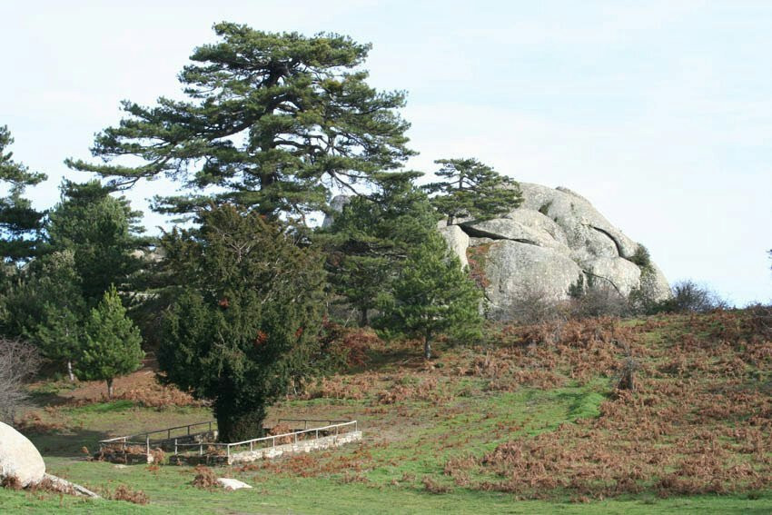 Mount Itamos-Paradisos必去景点