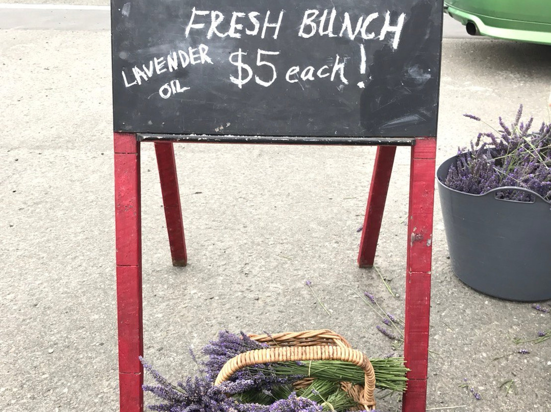 Oamaru Farmers' Market-奥马鲁必去景点