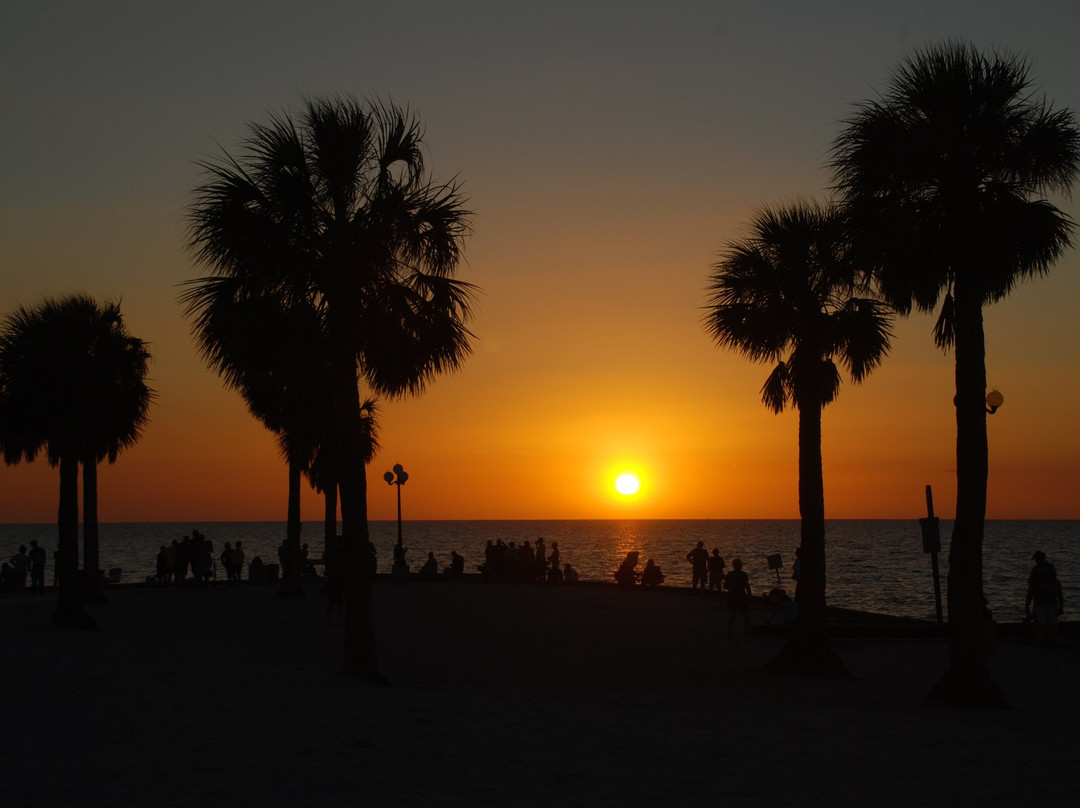 Pine Island Park景点图片