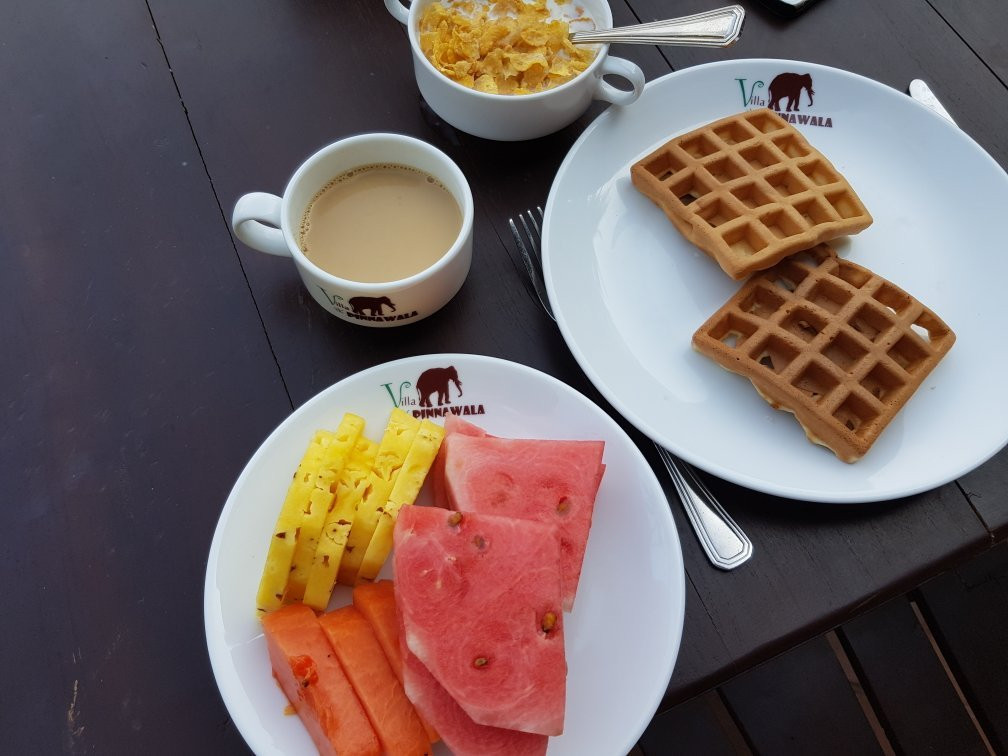 品纳维拉酒店住宿-Villa Pinnawala Homestay