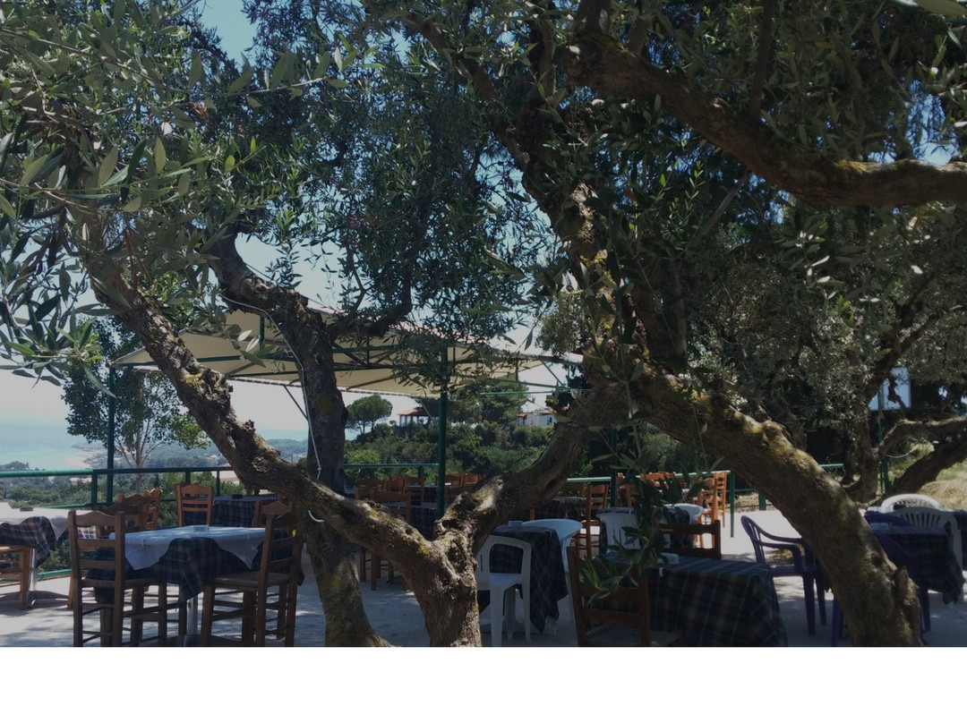 Belvedere Zakynthos Studios主图