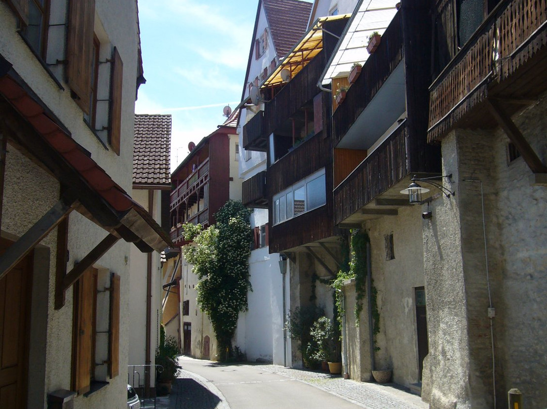 Unteres Brunnental-Lauingen必去景点