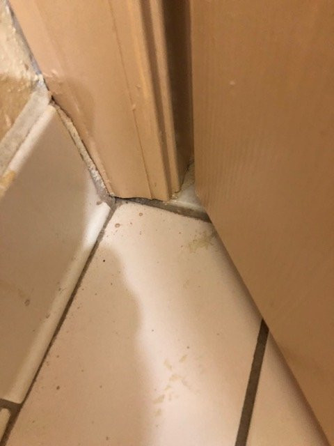 Days Inn By Wyndham Coliseum Montgomery AL主图