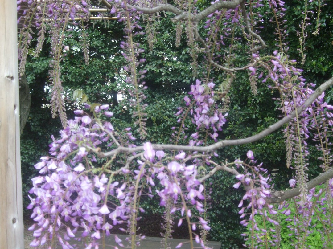 Toba Water Environmental Conservation Center-京都市必去景点