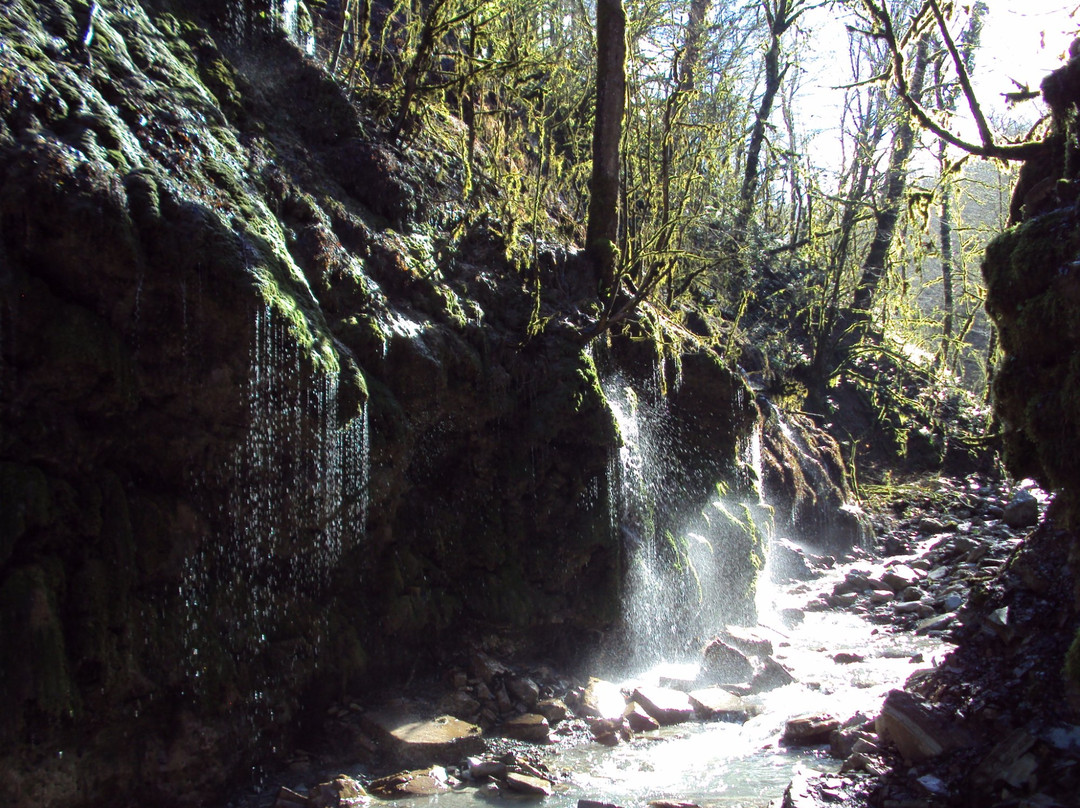 Weeping Rocks Waterfall景点图片