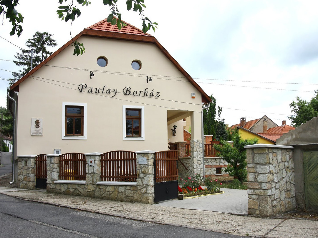 Paulay Winehouse主图