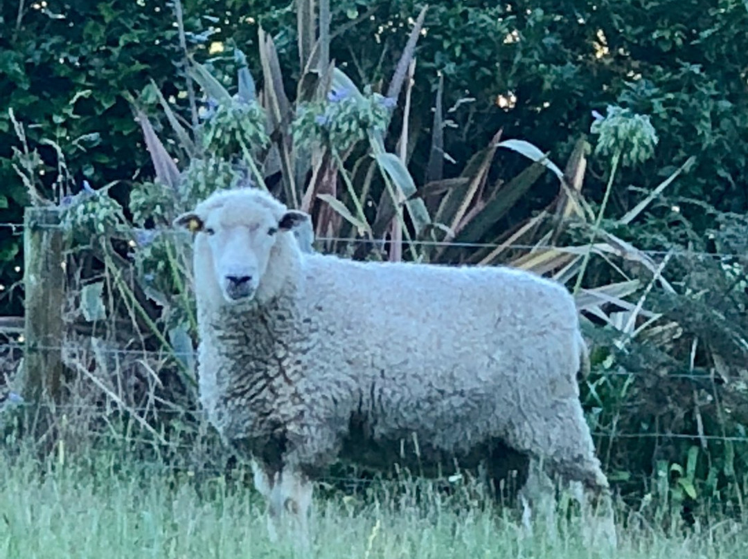 Somersal Bed & Breakfast / Wedding Venue主图