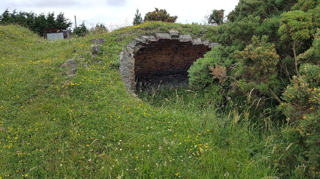 Inkerman Beehive Coke Ovens-Tow Law必去景点