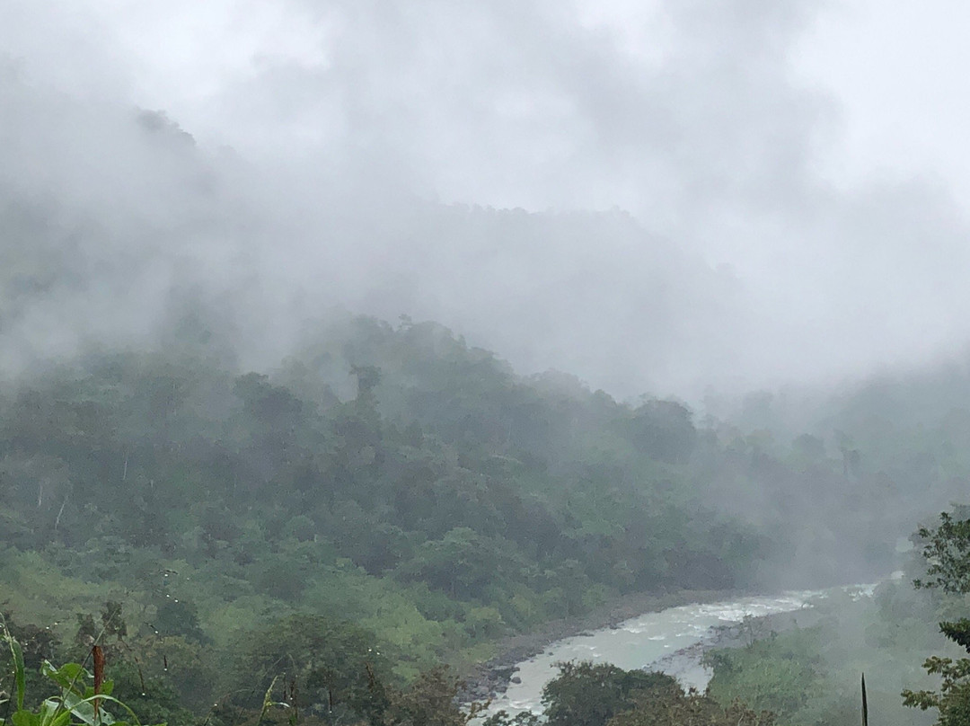 Ave Sol River Sanctuary