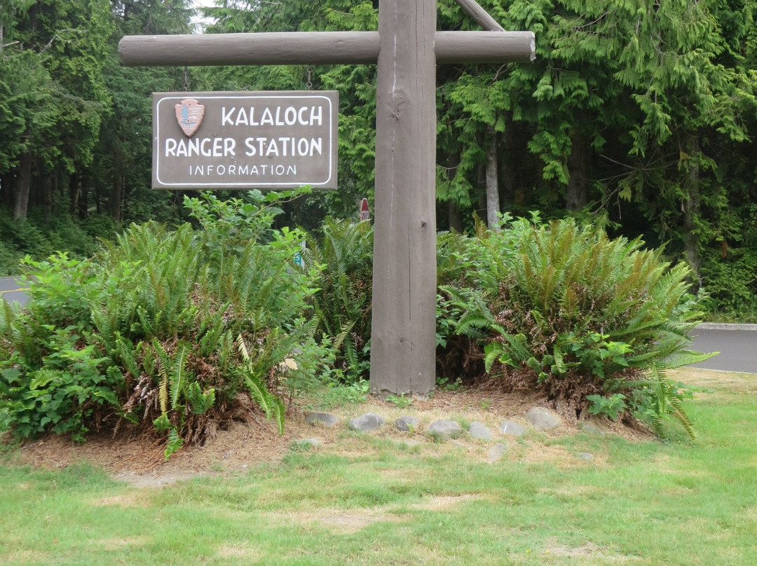 Kalaloch Ranger Station-奥林匹克国家公园必去景点