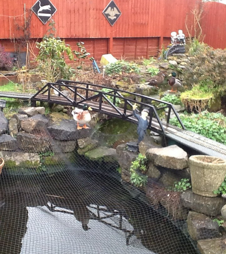 Crossways Guest House主图