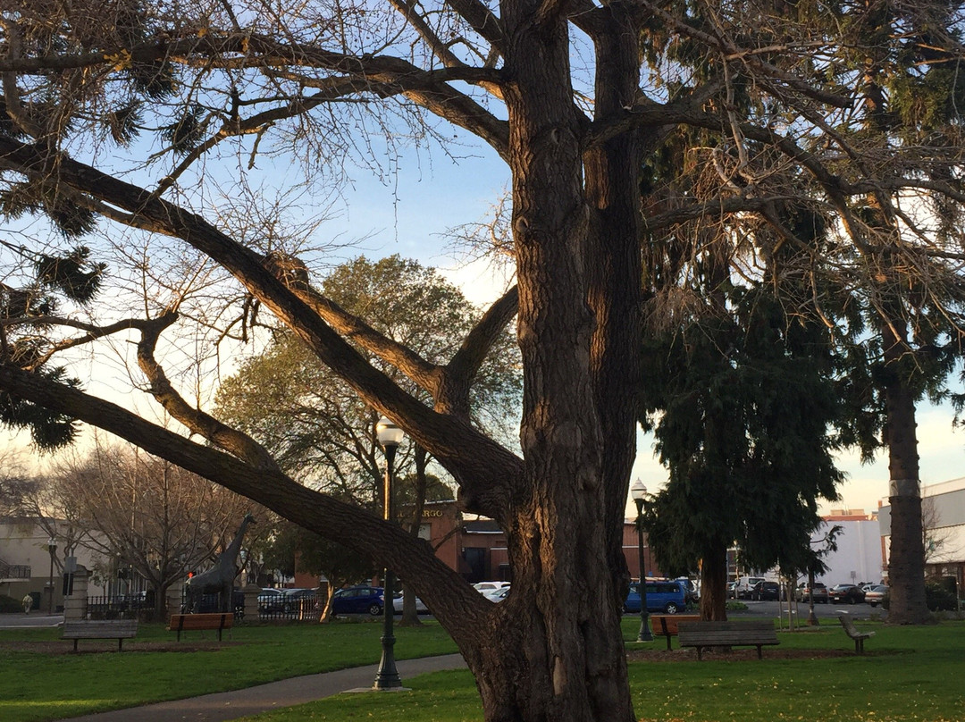 Central Park-圣马特奥必去景点