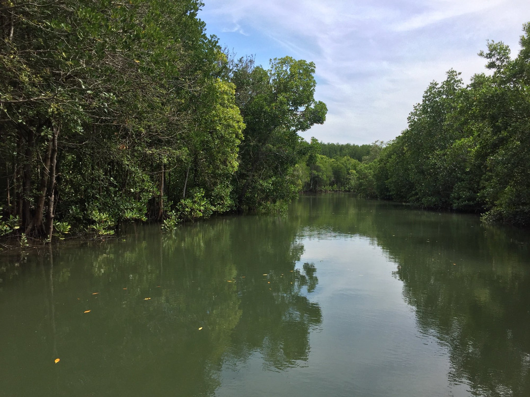 Thung Yee Pheng Mangrove Forest景点图片