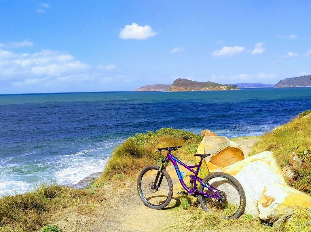 Central Coast Mountain Bike Tours景点图片