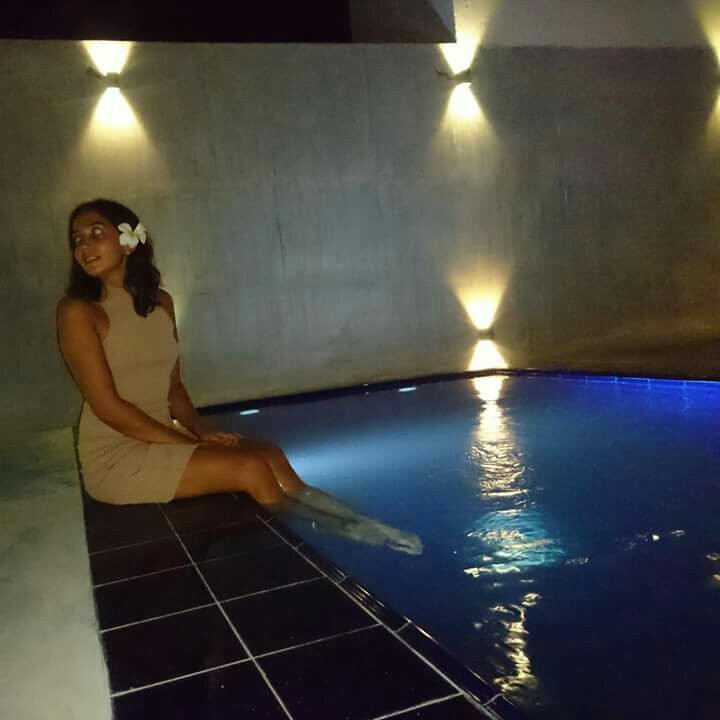 Aurora Four Seasons主图