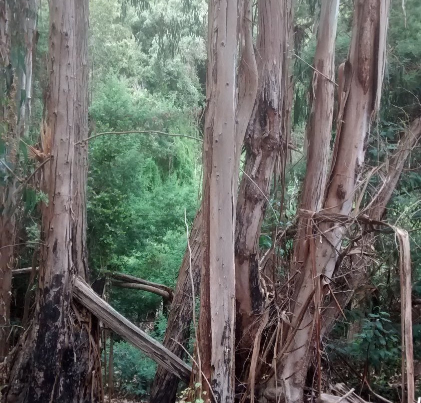 Quebrada de Cordoba景点图片