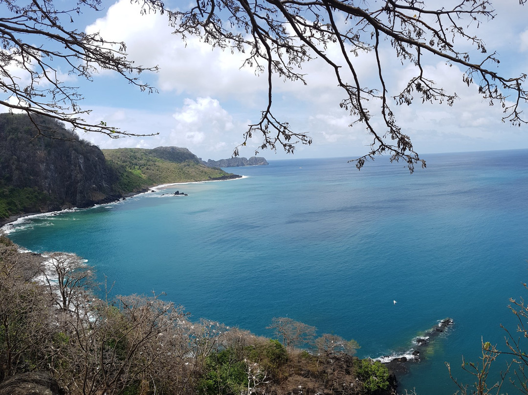 Baia dos Golfinhos-费尔南多-迪诺罗尼亚群岛必去景点