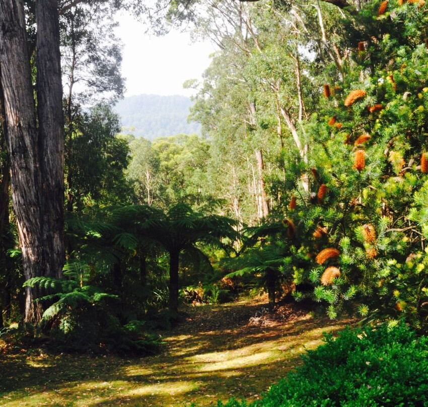 Piaf Day Spa-希尔斯维尔必去景点