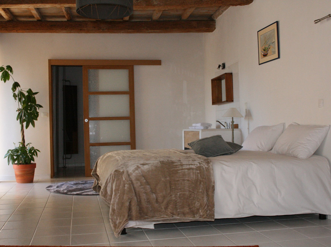 Maison d'Hotes Cambis主图