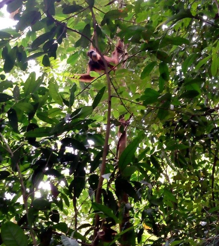 Indra Valley Inn Trekking-武吉拉旺必去景点