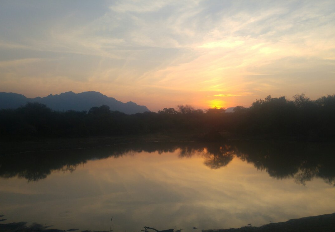 Kaya Imbabala Bush Camp主图