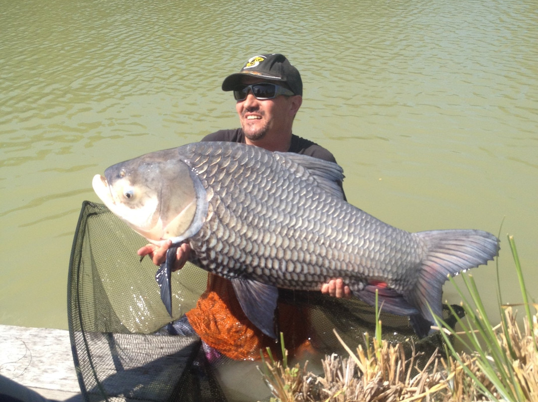 Siamese Carp Fishing Lakes Thailand景点图片