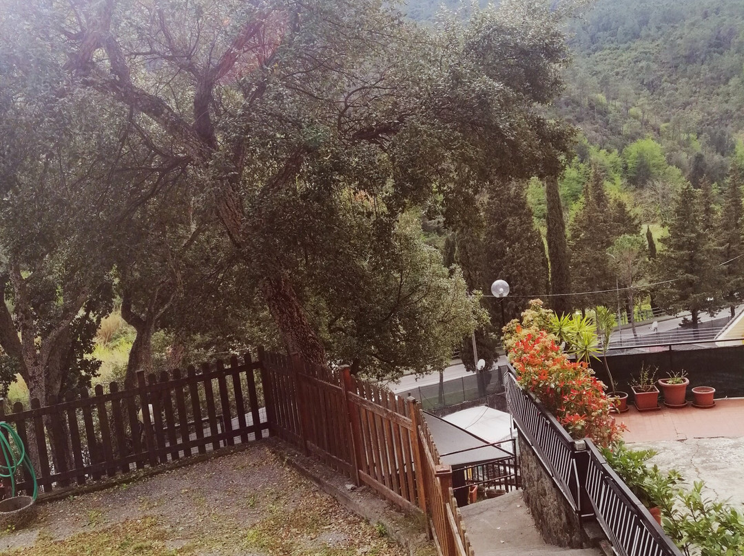 Camping La Mammola