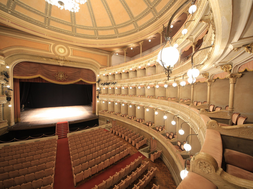 Teatro Coccia景点图片