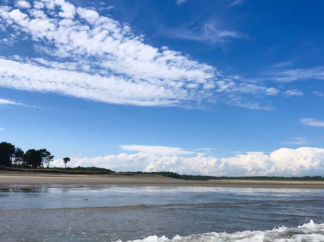 Wells Reserve at Laudholm-韦尔斯必去景点