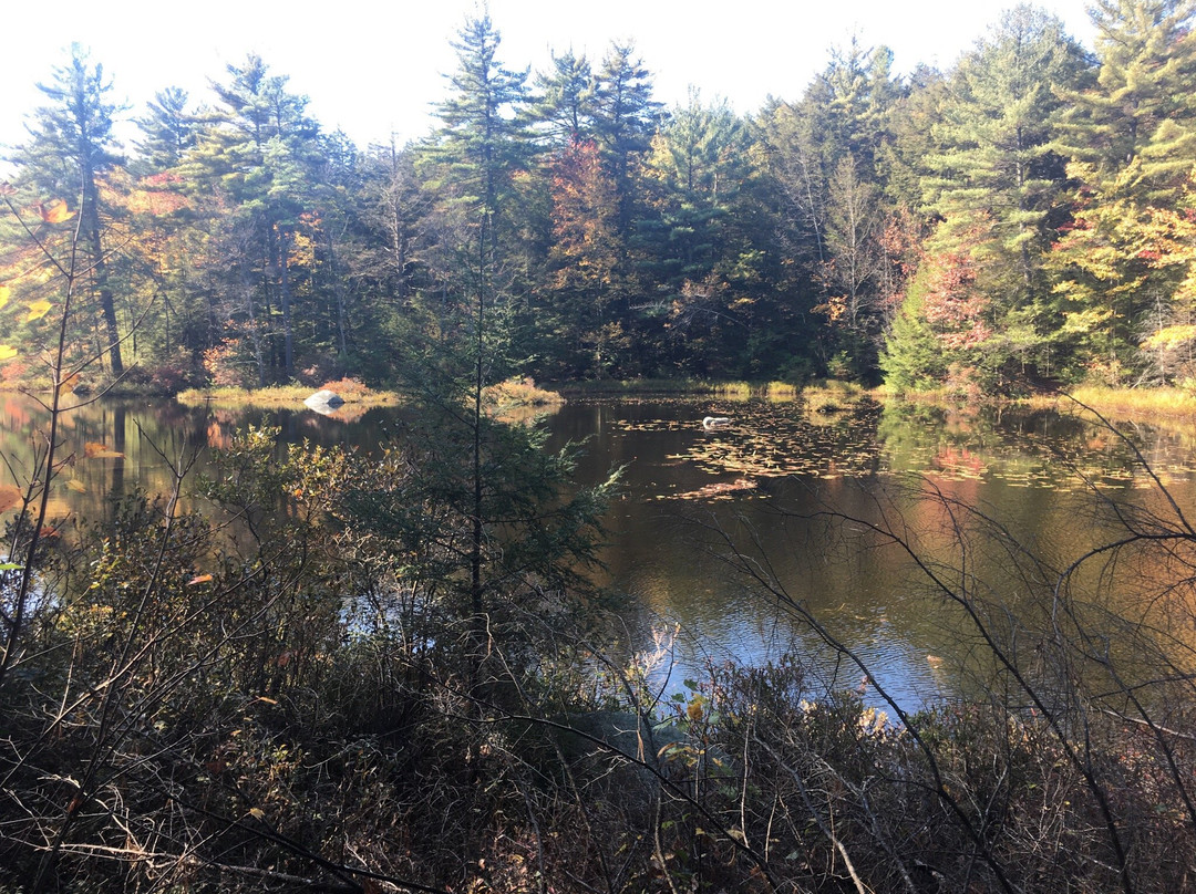 Spofford Lake景点图片